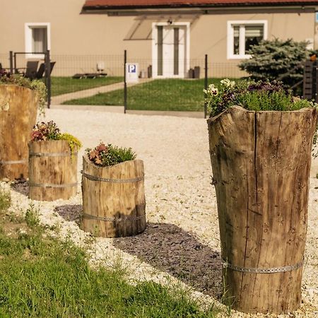 Apartament Apartament Pod Lasem Oldrzychowice Klodzkie Zewnętrze zdjęcie